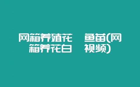 网箱养殖花鲢鱼苗(网箱养花白鲢视频)-会东网