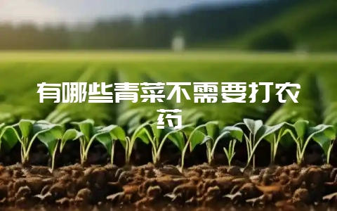 有哪些青菜不需要打农药-会东网