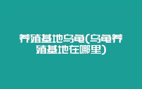 养殖基地乌龟(乌龟养殖基地在哪里)-会东网