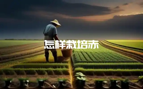 怎样栽培赤楠-会东网