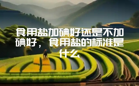 食用盐加碘好还是不加碘好，食用盐的标准是什么-会东网