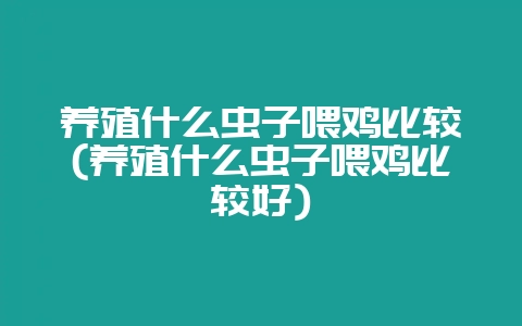 养殖什么虫子喂鸡比较(养殖什么虫子喂鸡比较好)-会东网