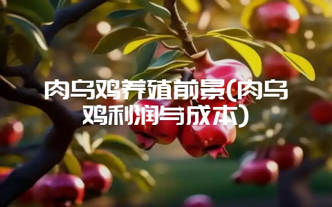 肉乌鸡养殖前景(肉乌鸡利润与成本)-会东网