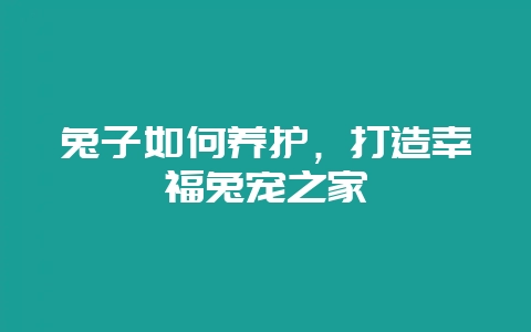 兔子如何养护，打造幸福兔宠之家-会东网