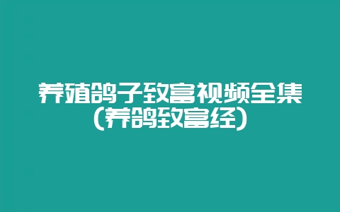 养殖鸽子致富视频全集(养鸽致富经)-会东网
