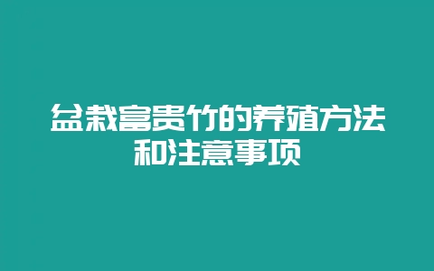 盆栽富贵竹的养殖方法和注意事项-会东网
