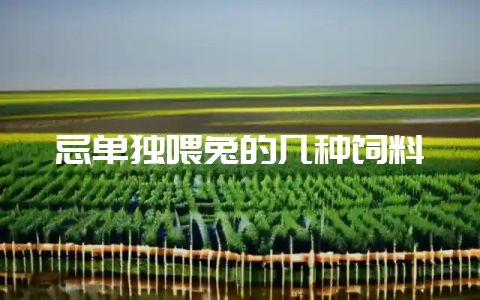 忌单独喂兔的几种饲料-会东网