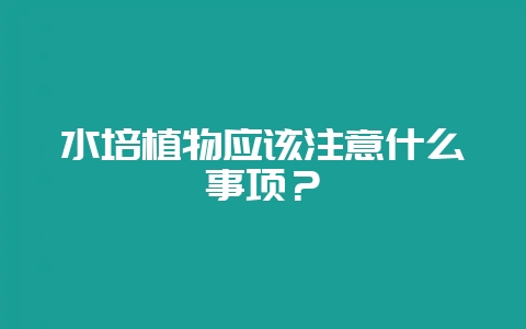 水培植物应该注意什么事项？-会东网