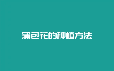 蒲包花的种植方法-会东网