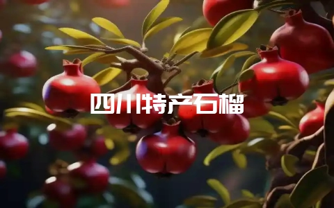 四川特产石榴插图 四川特产石榴插图