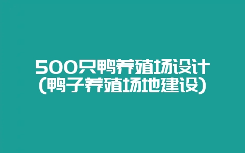 500只鸭养殖场设计(鸭子养殖场地建设)-会东网