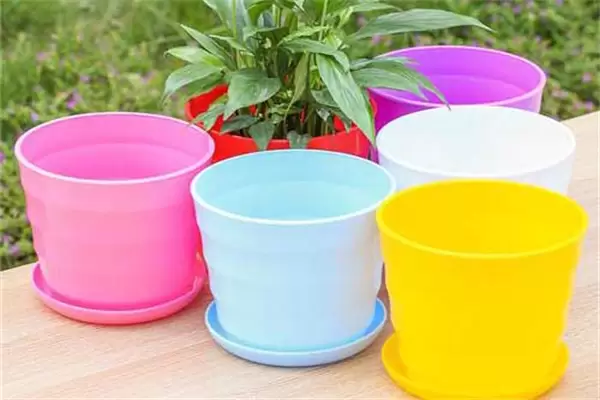 常见花盆的种类和特点、材质款式用途-会东网