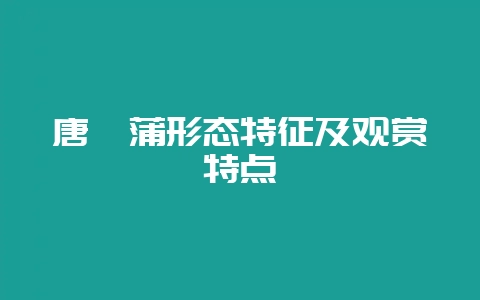唐菖蒲形态特征及观赏特点-会东网