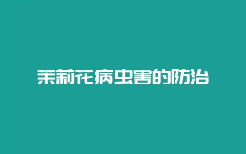 茉莉花病虫害的防治-会东网