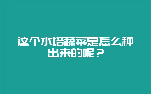 这个水培蔬菜是怎么种出来的呢?-会东网