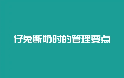 仔兔断奶时的管理要点-会东网