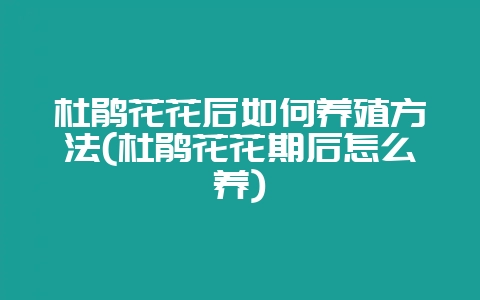 杜鹃花花后如何养殖方法(杜鹃花花期后怎么养)-会东网
