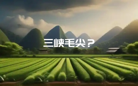 三峡毛尖?-会东网