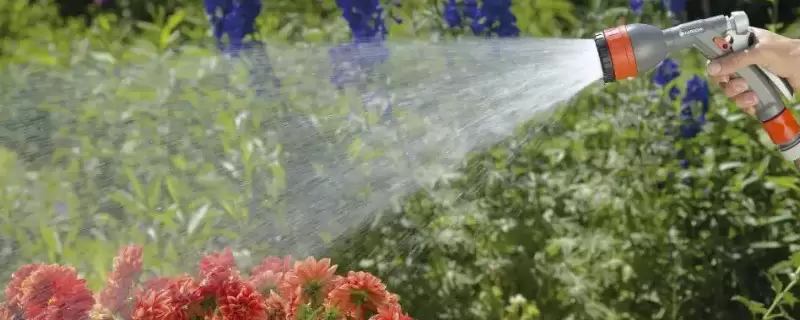 雨水放的时间长了能浇花吗-会东网