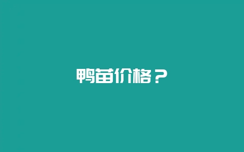 鸭苗价格？-会东网
