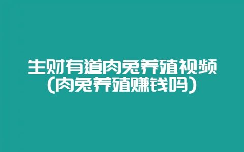 生财有道肉兔养殖视频(肉兔养殖赚钱吗)-会东网