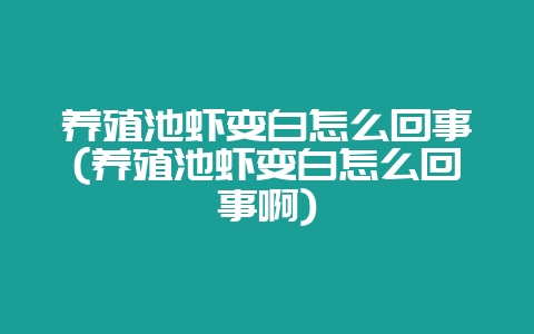 养殖池虾变白怎么回事(养殖池虾变白怎么回事啊)-会东网