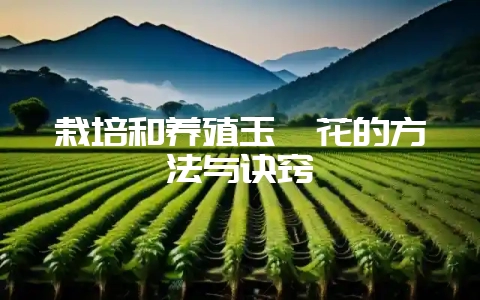 栽培和养殖玉簪花的方法与诀窍-会东网