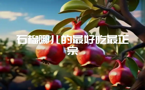 石榴哪儿的最好吃最正宗插图 石榴哪儿的最好吃最正宗插图