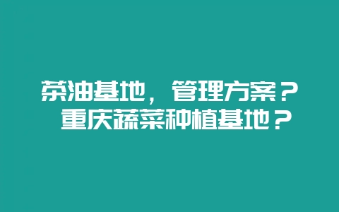 茶油基地,管理方案? 重庆蔬菜种植基地?-会东网