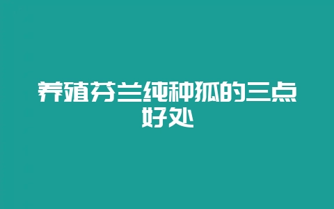 养殖芬兰纯种狐的三点好处-会东网