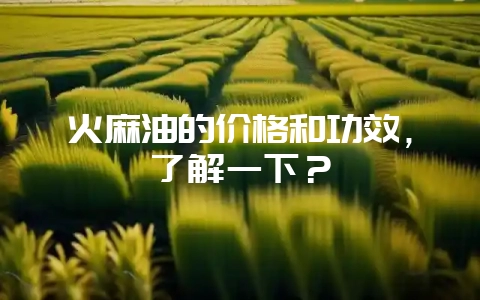 火麻油的价格和功效，了解一下？-会东网