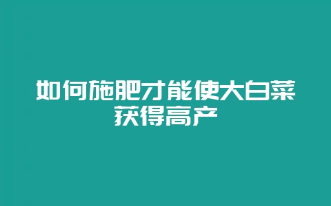 如何施肥才能使大白菜获得高产-会东网