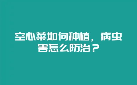 空心菜如何种植，病虫害怎么防治？-会东网