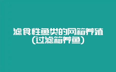 滤食性鱼类的网箱养殖(过滤箱养鱼)-会东网