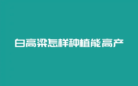白高粱怎样种植能高产插图 白高粱怎样种植能高产插图
