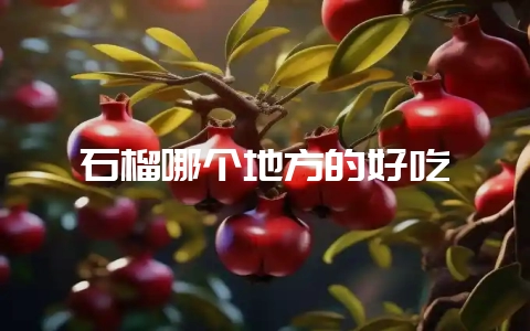 石榴哪个地方的好吃插图 石榴哪个地方的好吃插图