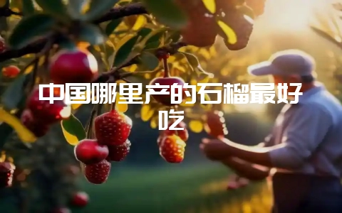中国哪里产的石榴最好吃-会东网