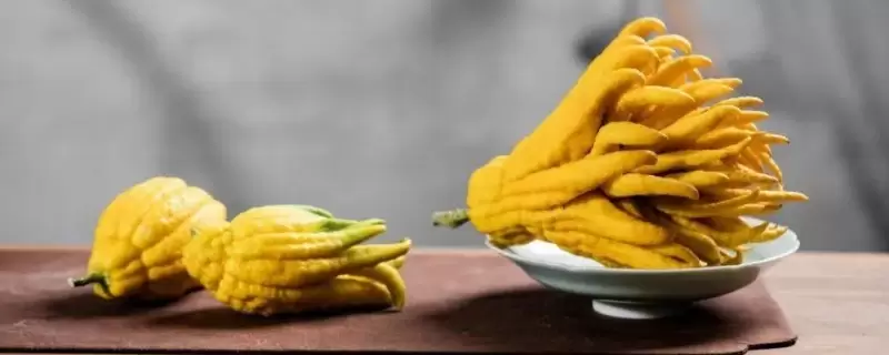 佛手柑的寓意是什么-会东网