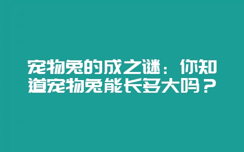宠物兔的成之谜：你知道宠物兔能长多大吗？-会东网