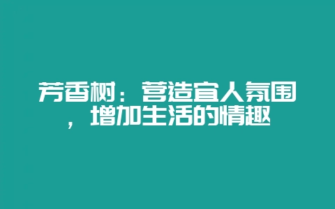 芳香树：营造宜人氛围，增加生活的情趣-会东网