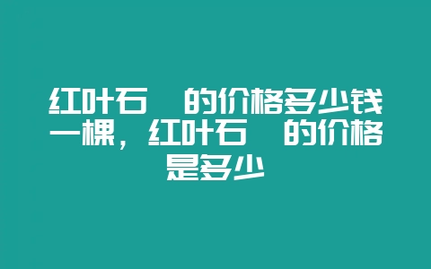 红叶石楠的价格多少钱一棵，红叶石楠的价格是多少-会东网
