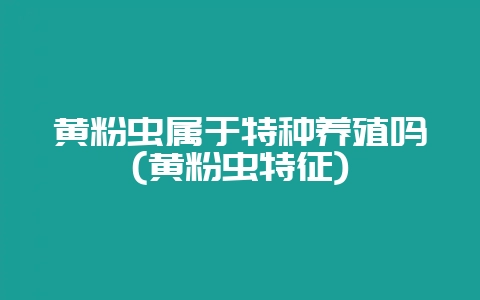 黄粉虫属于特种养殖吗(黄粉虫特征)-会东网