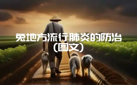 兔地方流行肺炎的防治(图文)-会东网