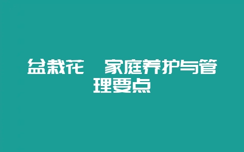 盆栽花卉家庭养护与管理要点-会东网