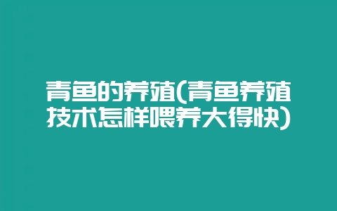 青鱼的养殖(青鱼养殖技术怎样喂养大得快)-会东网
