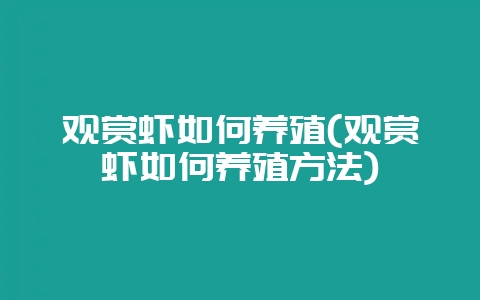 观赏虾如何养殖(观赏虾如何养殖方法)-会东网