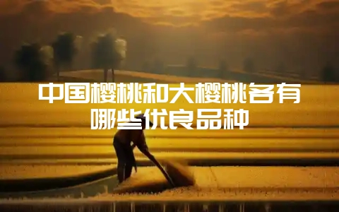 中国樱桃和大樱桃各有哪些优良品种-会东网