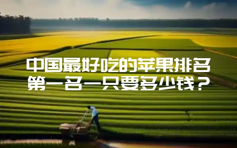 中国最好吃的苹果排名第一名一只要多少钱?-会东网