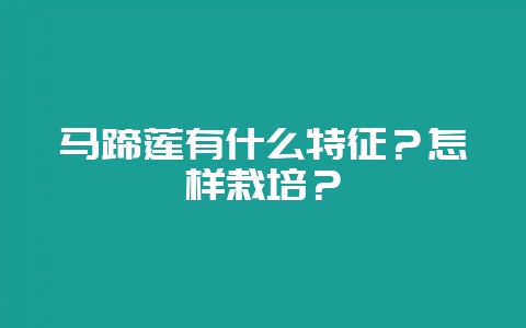 马蹄莲有什么特征？怎样栽培？-会东网