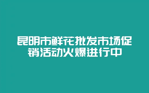 昆明市鲜花批发市场促销活动火爆进行中-会东网
